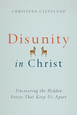 bokomslag Disunity in Christ  Uncovering the Hidden Forces that Keep Us Apart