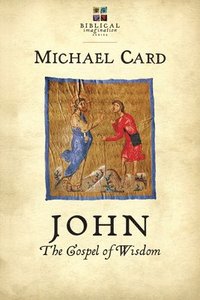 bokomslag John: The Gospel of Wisdom