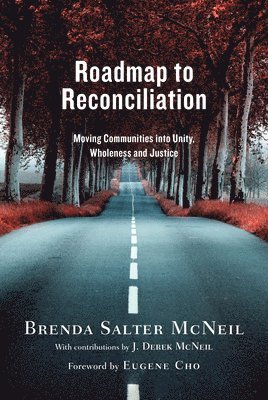 bokomslag Roadmap to Reconciliation - Moving Communities into Unity, Wholeness and Justice