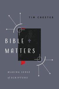 bokomslag Bible Matters: Making Sense of Scripture