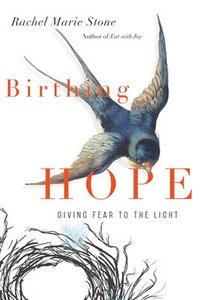 bokomslag Birthing Hope - Giving Fear to the Light