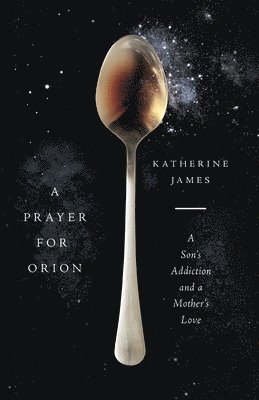 A Prayer for Orion  A Son`s Addiction and a Mother`s Love 1