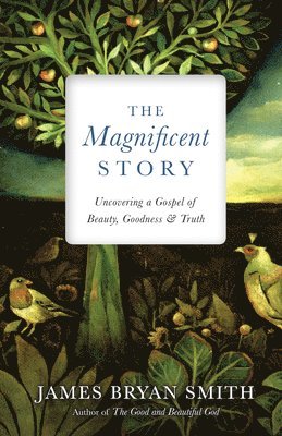 bokomslag The Magnificent Story  Uncovering a Gospel of Beauty, Goodness, and Truth