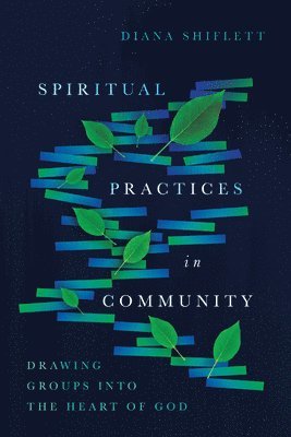 bokomslag Spiritual Practices in Community  Drawing Groups into the Heart of God