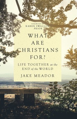 bokomslag What Are Christians For? - Life Together at the End of the World