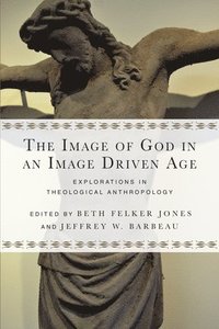 bokomslag The Image of God in an Image Driven Age  Explorations in Theological Anthropology