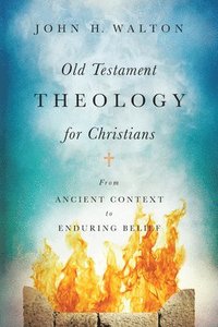 bokomslag Old Testament Theology for Christians  From Ancient Context to Enduring Belief