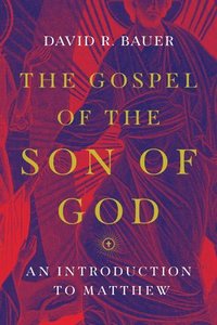 bokomslag The Gospel of the Son of God  An Introduction to Matthew