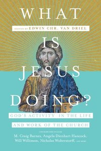 bokomslag What Is Jesus Doing? - God`s Activity in the Life and Work of the Church