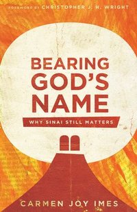 bokomslag Bearing God`s Name  Why Sinai Still Matters