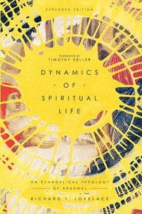 bokomslag Dynamics of Spiritual Life - An Evangelical Theology of Renewal
