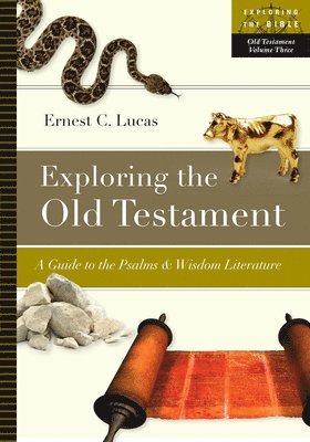 bokomslag Exploring the Old Testament