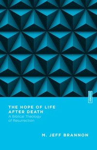 bokomslag The Hope of Life After Death  A Biblical Theology of Resurrection