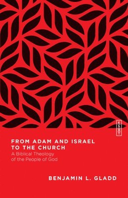 bokomslag From Adam and Israel to the Church - A Biblical Theology of the People of God