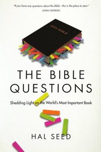 bokomslag Bible Questions  The