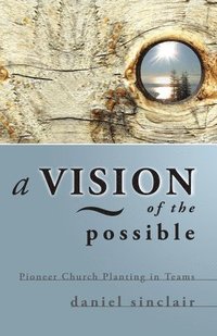 bokomslag Vision of the Possible  A