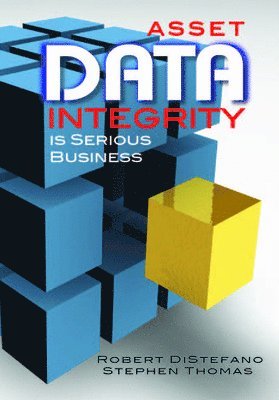 bokomslag Asset Data Integrity Is Serious Business