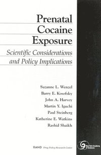 bokomslag Prenatal Cocaine Exposure