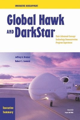 Jeffrey A. Drezner, Robert S. Leonard - Innovative Development Executive Summary, Häftad