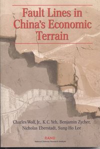 bokomslag Fault Lines in China's Economic Terrain