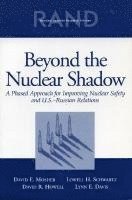 Beyond the Nuclear Shadow 1
