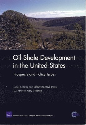 James T. Bartis, Tom LaTourrette, Lloyd Dixon, D.J. Peterson, Gary Cecchine - Oil Shale Development in the United States, Häftad