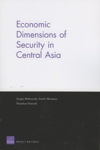 bokomslag Economic Dimensions of Security in Central Asia