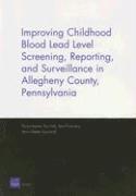 bokomslag Improving Childhood Blood Lead Level Screening, Reporting, and Surveillance in Allegheny County, Pennsylvania