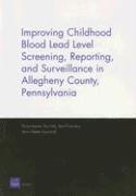Donna Keyser, Ray Firth, Amy Richardson, Maria Zeglen Townsend - Improving Childhood Blood Lead Level Screening, Reporting, and Surveillance in Allegheny County, Pennsylvania, Häftad