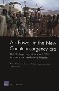 bokomslag Air Power in the New Counterinsurgency Era
