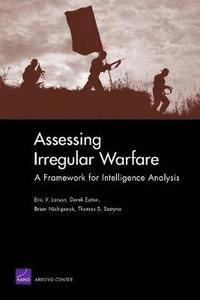bokomslag Assessing Irregular Warfare