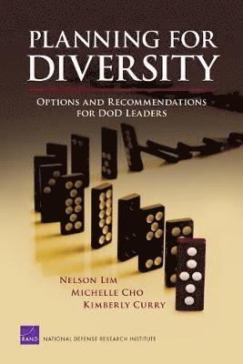 Nelson Lim, Michelle Cho, Kimberly Curry - Planning for Diversity, Häftad