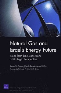 bokomslag Natural Gas and Israel's Energy Future
