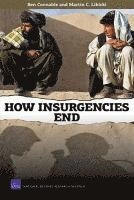 bokomslag How Insurgencies End