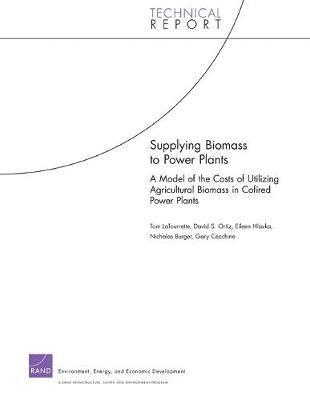 Latourrette, Ortiz, Hlavka, Adri Burger, Gary Cecchine - Supplying Biomass to Power Plants, Häftad