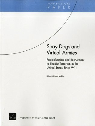 bokomslag Stray Dogs and Virtual Armies