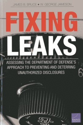 Fixing Leaks 1