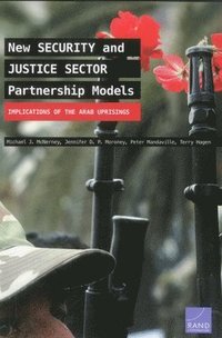 bokomslag New Security and Justice Sector Partnership Models