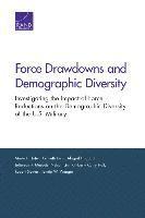 bokomslag Force Drawdowns and Demographic Diversity