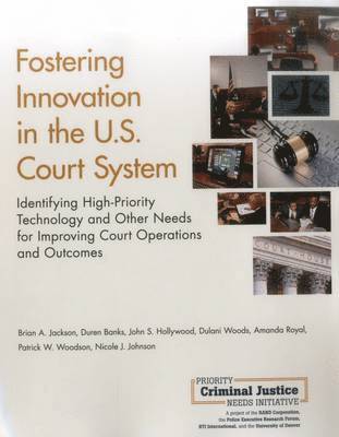 Fostering Innovation in the U.S. Court System 1