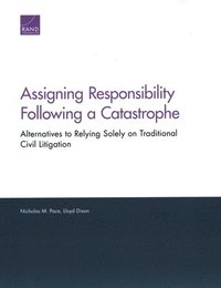 bokomslag Assigning Responsibility Following a Catastrophe
