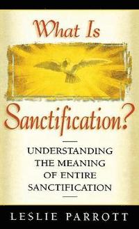 bokomslag What Is Sanctification?