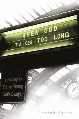 bokomslag When God Takes Too Long