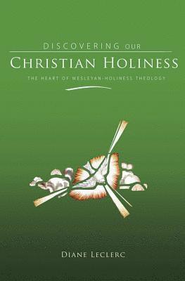 bokomslag Discovering Christian Holiness