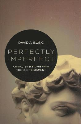 bokomslag Perfectly Imperfect
