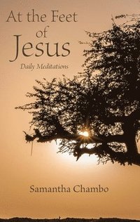 bokomslag At the Feet of Jesus: Daily Meditations