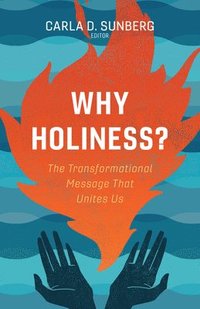 bokomslag Why Holiness?: The Transformational Message That Unites Us