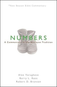 bokomslag Nbbc, Numbers: A Commentary in the Wesleyan Tradition