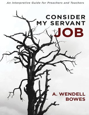 Consider My Servant Job: An Interpretive Guide for Preachers and Teachers