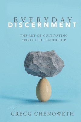 bokomslag Everyday Discernment